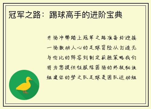 冠军之路：踢球高手的进阶宝典