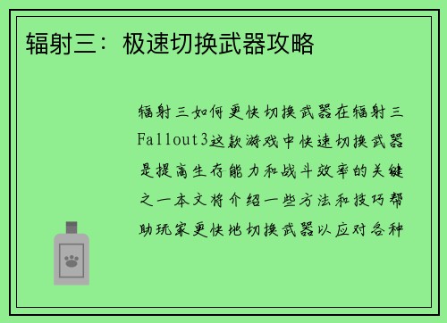 辐射三:极速切换武器攻略
